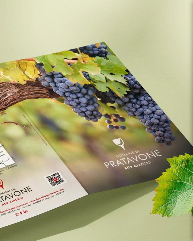 L’art du vin au cœur de la Corse 🍷

En 2016 (bientôt 10 ans déjà ! 😱), j’ai eu la chance de vivre quelques mois en Corse-du-Sud. C’est à cette période que j’ai découvert le @domainedepratavone_officiel , une maison d’exception située à une heure d’Ajaccio, qui produit des vins de grande qualité. À l’époque, ils m’avaient confié la création de leur plaquette de présentation des cuvées.

Aujourd’hui, j’ai eu le plaisir de collaborer à nouveau avec eux pour mettre en lumière leur savoir-faire et leur authenticité à travers un design épuré et élégant.

Un support essentiel pour séduire amateurs et professionnels du vin ! 🍇✨

Merci à Isabelle, Antoine et toute l’équipe pour leur confiance 🫶

~
#graphiste #graphistefreelance #graphisme #graphicdesign #graphistebourgoin #graphistebourgoinjallieu #bourgoin #latourdupin #bourgoinjallieu #graphistelyon #graphicdesignerlyon #logo #logodesigns #logotype #logodesigner #juliencottazdesign #graphisteparis #graphicdesign #graphicdesignerparis #corse #corsica #graphistecorse #graphisteajaccio #vigneron #logovin #vincorse #domainedepratavone